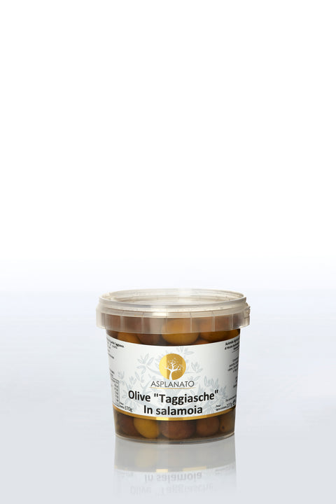 Taggiasca-Oliven in Salzlake
