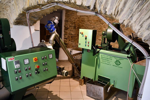 Degustazione OLIO ASPLANATO